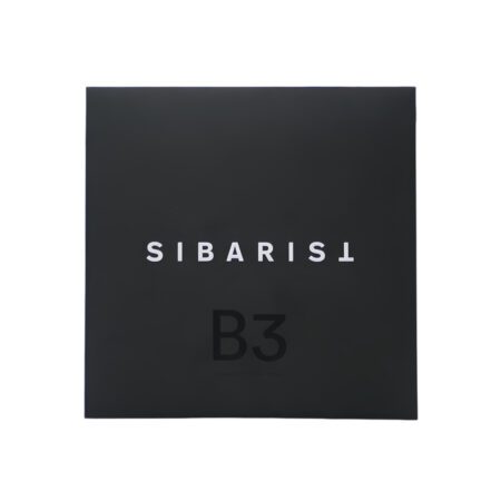 فیلتر سیباریست فلت b3