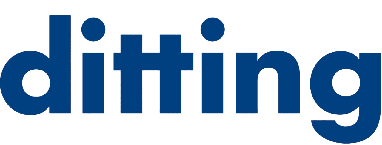 دیتینگ