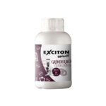 exciton