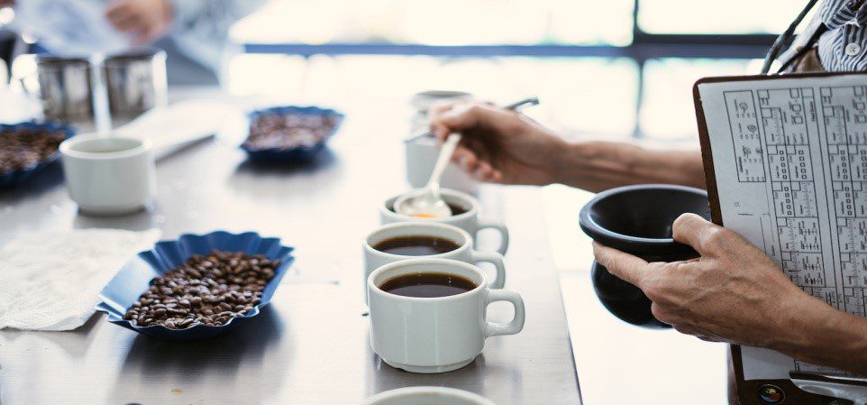 گواهینامه اتحادیه رین فارست