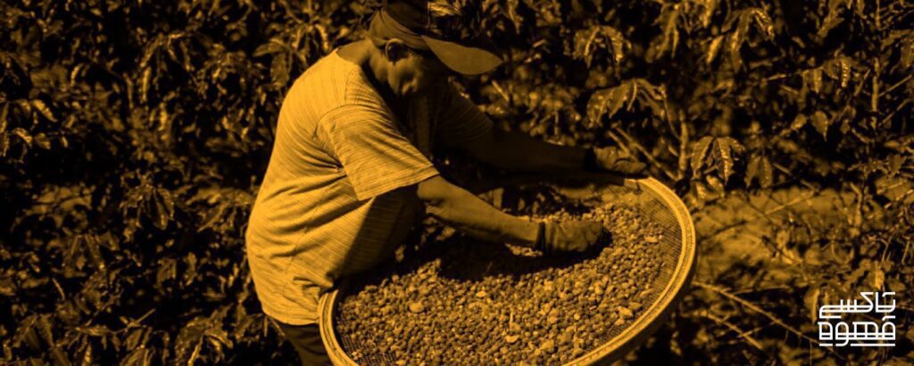 نیجریه رسما به سازمان بین المللی قهوه (ICO) پیوست